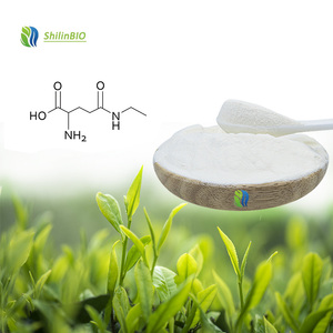 SLBIO Extracto <span class=keywords><strong>de</strong></span> Té Verde con L-Teanina <span class=keywords><strong>de</strong></span> Alta Calidad CAS 3081-61-6  20% 40% 98% Polvo <span class=keywords><strong>de</strong></span> Teanina - Product Image 3