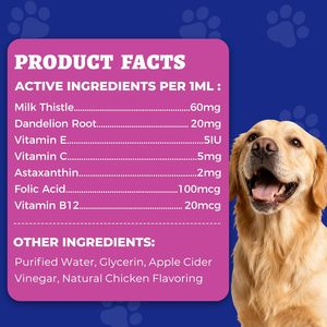 Líquido para el Cuidado de la Salud Hepática de Perros OEM con Aceite de Salmón Silvestre de Alaska y Curcumina para la Desintoxicación Hepática - Product Image 5