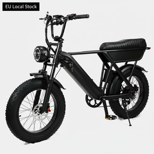 Bici Elettrica Vintage per Adulti con Ruota Posteriore da 20 Pollici, Bici Elettrica Fat Tire Y20, Nuovo Design da Magazzino Europeo 250W 48V - Product Image 1