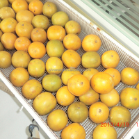 Séchoir à micro-ondes Monk Fruit