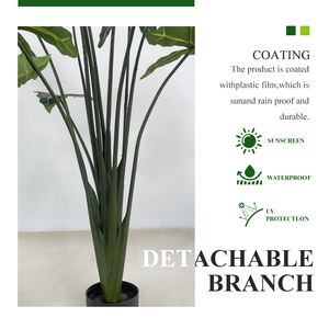 <span class=keywords><strong>Planta</strong></span> Artificial <span class=keywords><strong>de</strong></span> Alocasia Tropical para Interiores/Exteriores, Hoja <span class=keywords><strong>de</strong></span> Alocasia Sarian Tipo <span class=keywords><strong>Oreja</strong></span> <span class=keywords><strong>de</strong></span> <span class=keywords><strong>Elefante</strong></span>, Plástico Similar a Palma/Olivo - Product Image 2