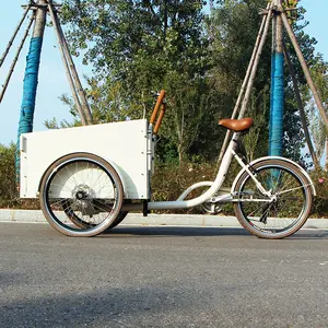 성인 3 바퀴 아이를 나르기를 위한 전기 열려있는 몸 화물 자전거