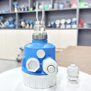สวิตช์วัดระดับแบบสั่นสะเทือนรุ่น FTL50 Vibronic ของ Endress+Hauser สำหรับการตรวจจับของแข็งจำนวนมากและแม่นยำ - Product Image 1