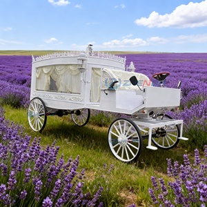 Hearse Funeral Horse Carriage White Funeral Hearse Vehicle Carriage Electric/Horse-drawn Cart Funeral Cart - Product Image 2