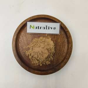 Raiz De Bardana Natural Extract10-1 Arctium Lappa L.ISO Fabricante Halal - Product Image 1