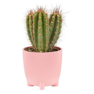 Luna 16กระถางดอกไม้พลาสติกรีไซเคิลที่ทันสมัยสำหรับตกแต่งในร่มและกลางแจ้งสวนระเบียงลานบ้าน - Product Image 2