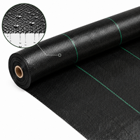 Rouleau de toile tissée en PP noir robuste 100 g/m² pour le contrôle des adventices dans l'aménagement paysager, l'agriculture, les vergers et les jardins