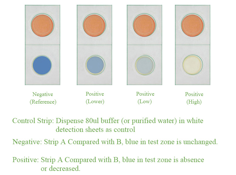 FSTest Pesticide Test Strips Fruits Vegetables Tea Produce Food Safety Detect