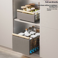 Panier de rangement pliable en métal antirouille sous l'évier avec rail coulissant lisse, organisateur de condiments coulissant pour armoire de cuisine