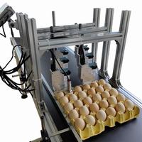 China Fabricage Incode Eierdrukmachine Datum Zes Koppen Duurzame Inkjet Code Codering Printer Te Koop