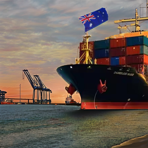 Dropshipping |   Servicio Profesional de Almacén en Australia |   Compromiso de Recogida por el Transportista las 24 Horas |   Servicio Eficiente - Product Image 2