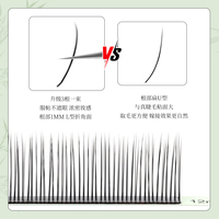 Extensions de cils véganes faites à la main, 12 rangées, noir mat, cils individuels 8-15mm, plateau à base de feuille, vente en gros, marque privée, personnalisable