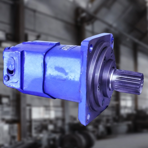 สินค้าขายดีที่สุดปี 2025 มอเตอร์ไฮดรอลิก - Product Image 4