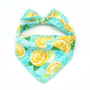 Pañuelo Reflectante de Alta Visibilidad para Perros, Baberos Triangulares Estampados para Mascotas, Bufanda de Seguridad Nocturna para Paseos de Verano, para Acampar - Product Image 1