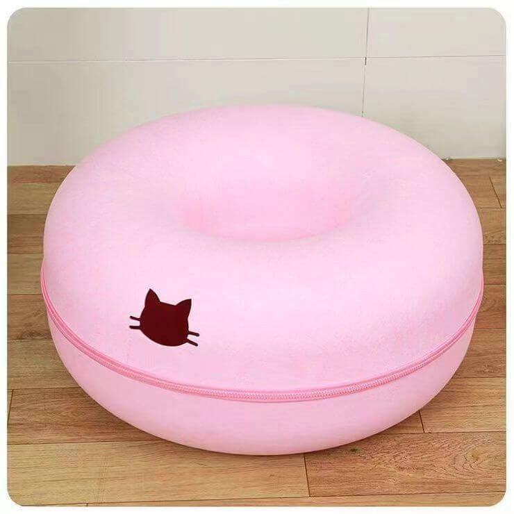 สีชมพู + หน้าต่าง