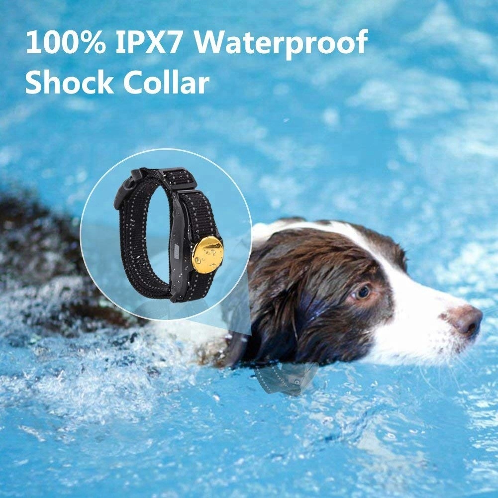 2020 Private Mode Ajustez le collier de dressage de chien, le meilleur produit de vente Collier de bipeur de chien clouté