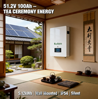 Baterai Lithium Ion 5kWh 48V 51.2V 100Ah untuk Sistem Surya Hibrida yang Dipasang di Dinding