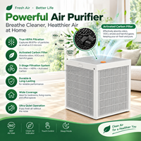 Penjernih Udara HEPA Portabel yang Dapat Dilepas dengan Filter Karbon Aktif untuk Menghilangkan Bau dan Asap