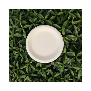 STAVIAN meilleure qualité 100% biodégradable écologique à base de plantes plaque jetable tailles personnalisées 6 pouces blanc marron Service OEM - Product Image 1