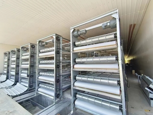 Poultry Farm Equipment Automation Egg <strong>Cage</strong> Automatic <strong>Layer</strong> <strong>Cages</strong> System - Product Image 4