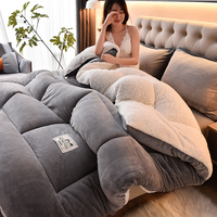 Couettes en velours de lait épais de luxe, literie en sherpa, solides, chaudes, super douces, en polyester, édredons, draps de lit, couvertures pour l'hiver