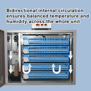Mini Incubadora de Nuevo Tipo Mejorada, Alta Capacidad de Incubación, Totalmente Automática - Product Image 4