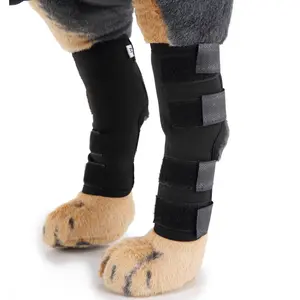犬用敏捷性トレーニング機器犬用ホックブレースペットサポートリア犬用圧縮脚ジョイントラップ傷や怪我を保護 - Product Image 1
