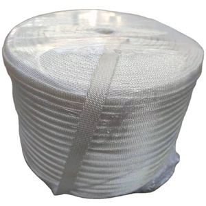 Bande de fixation pour film de <span class=keywords><strong>serre</strong></span> en PVC, corde de tension, <span class=keywords><strong>ceinture</strong></span> à haute résistance, petite <span class=keywords><strong>taille</strong></span>, blanche, marque ZEWO, pour une fixation sécurisée - Product Image 1