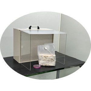 Nuevo Equipo de Cultivo de Hongos con Filtro HEPA de Acero Inoxidable - Product Image 4