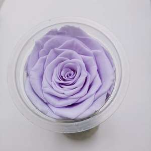 Rosas Eternas, 6 Piezas, 5-6 cm, Grado AA, Rosas Naturales Reales Inmortales, Rosas Preservadas para Ramos de Flores DIY - Product Image 2