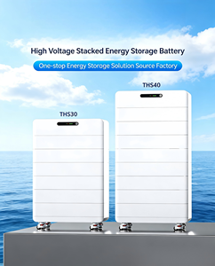 Batería de Almacenamiento de Energía Doméstica 51.2V 20-30KW Compatible con Red Eléctrica/Híbrida, Montaje en Rack, Protección IP54, Litio Hierro Fosfato - Product Image 5