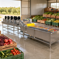 Commerciële industriële fruitwasser, bladgroentewasser, bubbelwasser, kruiden-, tomaten-, pitaya- en fruitmachine