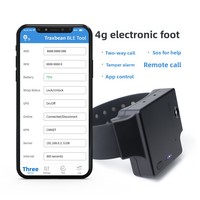 Bracelet électronique de surveillance de cheville en plastique étanche IP68 personnalisé avec GPS GPRS pour assignation à résidence et hôpital, démontable