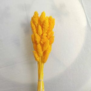 Hierba de <span class=keywords><strong>Phalaris</strong></span> Seca de Alta Calidad al por Mayor para Decoración del Hogar, Manualidades y Bodas - Product Image 1