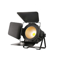 Projecteur PAR COB professionnel avec fonction Leaf Auto Sound DMX512, éclairage de scène en aluminium IP33 pour fêtes, églises et salles