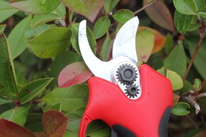 N + Nplus Kéo điện không dây 25-40mm Kéo cắt tỉa vườn điện chuyên nghiệp Lithium cầm tay Vườn Nho và vườn cây - Product Image 4