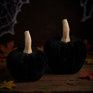 Zucche di velluto nero da 9,5 pollici, set da 2 per decorazioni di Halloween - Product Image 2