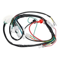 Kit de câblage CDI en cuivre avec protection IP67 pour Dirt Bike, Scooter, VTT, Quad, 50cc, 70cc, 90cc, 110cc, 125cc, pour montage électrique
