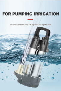 <span class=keywords><strong>Bomba</strong></span> Sumergible Solar de CC ZQB12V-A/ZQB24V-A/ZQB48V-A - Multivoltaje de <span class=keywords><strong>12V</strong></span>/24V/48V, Alta Elevación y Gran Caudal para <span class=keywords><strong>Riego</strong></span> - Product Image 6