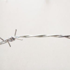 Bobine de fil de fer barbelé polarisé pour rasoir, à bas prix, en argent <span class=keywords><strong>blanc</strong></span> ou PVC, Protection de la couleur, 1 pièce - Product Image 4