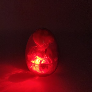 JollySweets конфеты игрушка девочка кукла сюрприз яйца с мигающим шариком новинка конфеты игрушка <span class=keywords><strong>OEM</strong></span> приемлемо - Product Image 5