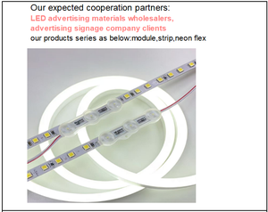 Módulo LED DC12V impermeable de alta eficiencia personalizable para publicidad exterior - Product Image 3