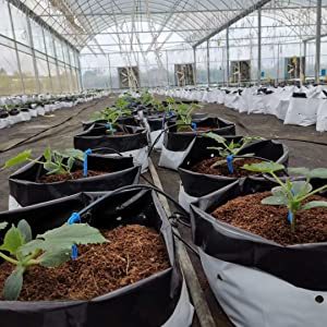 Sacs de plantation en film panda PE résistant aux UV <span class=keywords><strong>pour</strong></span> un soutien durable des <span class=keywords><strong>plantes</strong></span> dans <span class=keywords><strong>les</strong></span> applications agricoles adapté à la ferme en plein air - Product Image 5