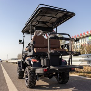 Carrito de <span class=keywords><strong>Golf</strong></span> Eléctrico Todoterreno de 14 Pulgadas, Homologado para Calle, <span class=keywords><strong>Precio</strong></span> Económico, 60v, 4 Plazas, Directo de Fábrica - Product Image 2