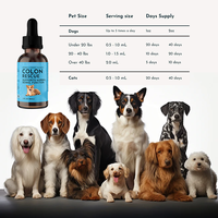 Complément nutritionnel OEM/ODM pour la santé intestinale des chiens et des chats, soutien ciblé pour le tractus gastro-intestinal inférieur