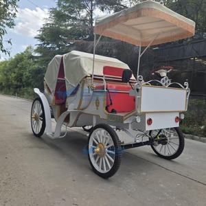 Nouvelle Carrosse de Tourisme Blanche 6 Places à Forte Demande avec Auvent Pare-Soleil, Performance Stable pour Mariages et Visites Panoramiques - Product Image 5