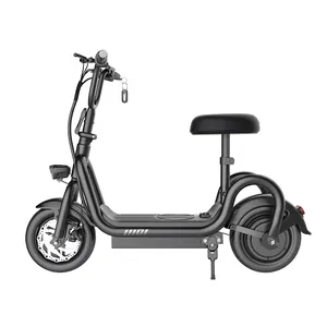 Minimalist isches Design Leistungs starkes 10 '2 Rad 48V 350W Mini Moped Bike Folding Adult Elektro roller Bike