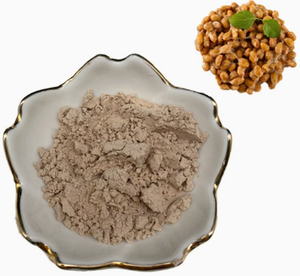 Nattokinase 5000-50000 FU/g Poudre de <span class=keywords><strong>Natto</strong></span> Lyophilisée - Product Image 2