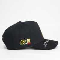 Casquette de baseball à 5 panneaux avec logo brodé en 3D personnalisé et visière en daim, casquette de sport à doublure en satin pour hommes et femmes Gorras