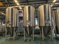 Cuve de Fermentation Conique en Acier Inoxydable pour Vin, Bière, Yaourt, Kombucha – Équipement de Fermentation à Double Enveloppe